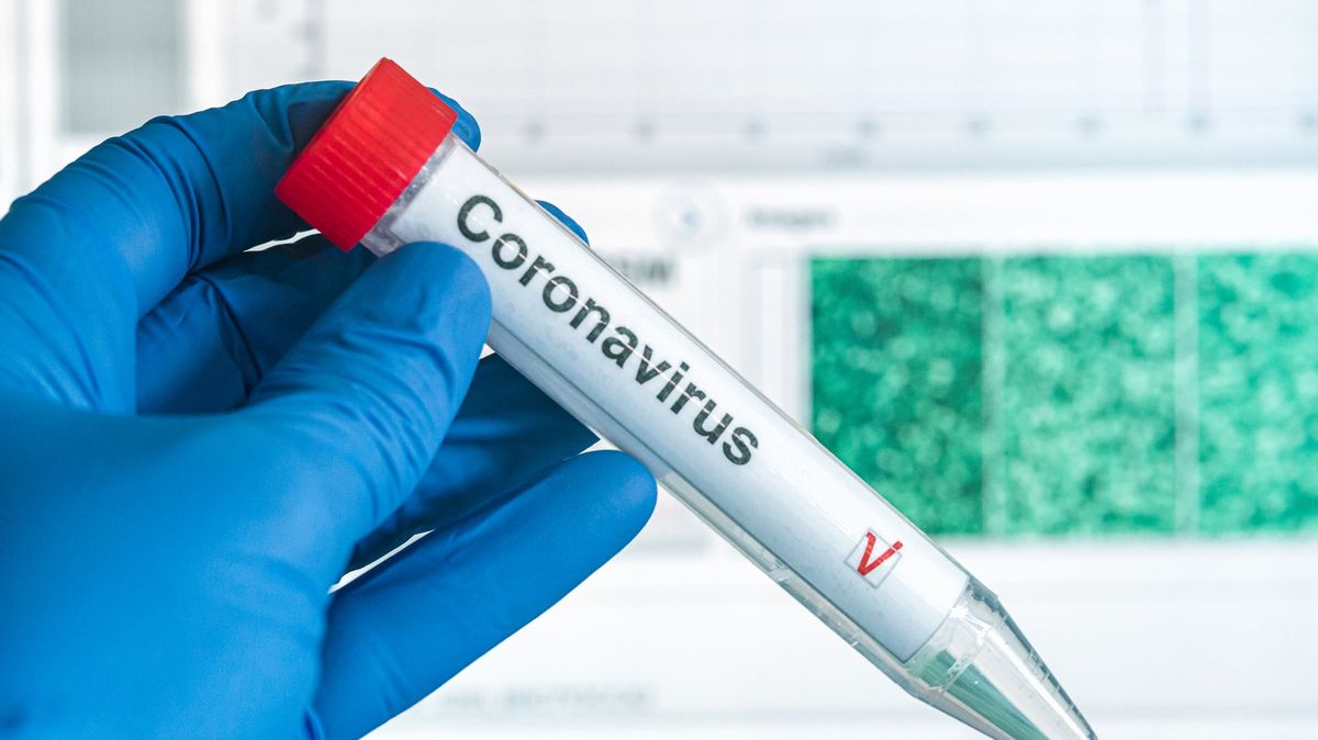 FT: Jak střední a východní Evropa zabrzdila koronavirus